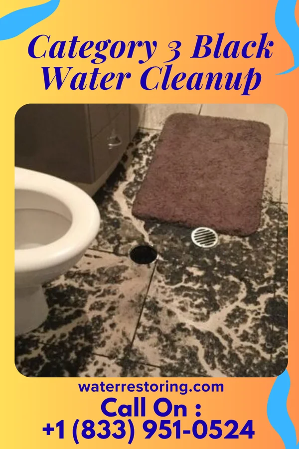 Category 3 Black Water Cleanup in Wagner, PA