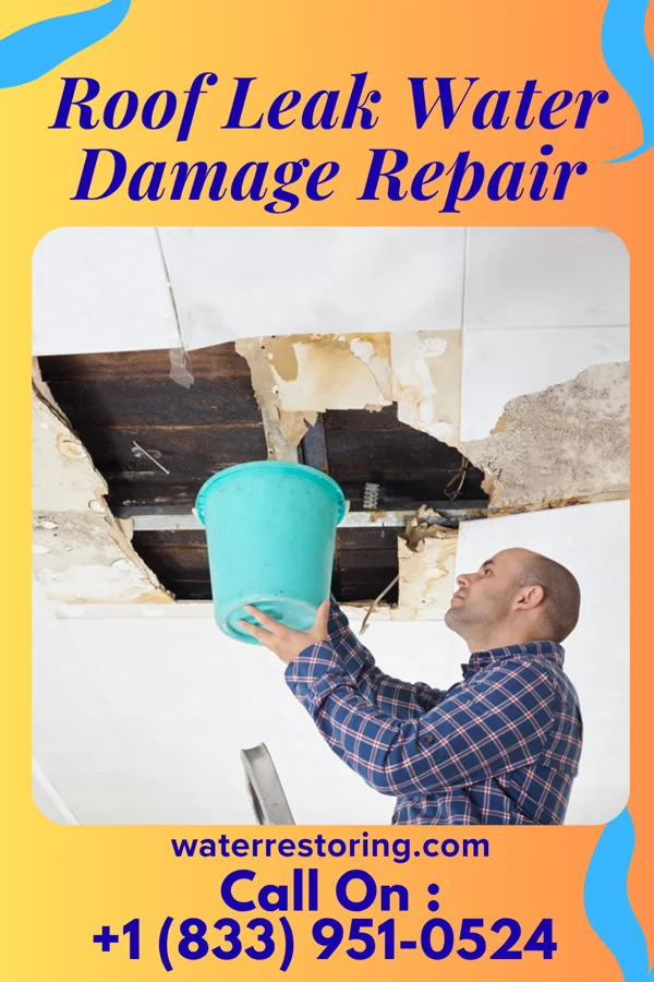 Roof Leak Water Damage Repair in Wagner, PA