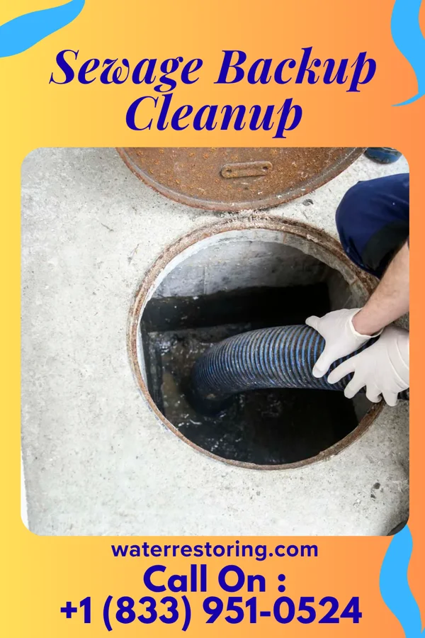 Sewage Backup Cleanup in Wagner, PA