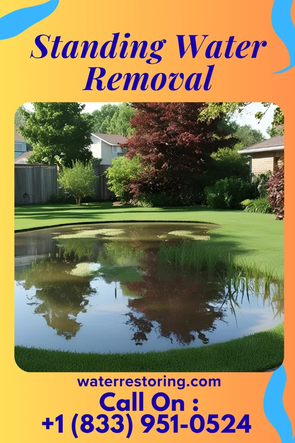 Standing Water Removal in Wagner, PA
